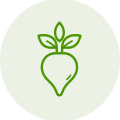 burak_svg