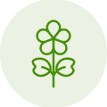 lucerna_svg